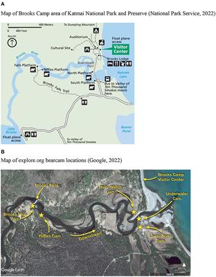 Is one the loneliest number? Impact of tourists' ability to identify individual bears on conservation outcomes